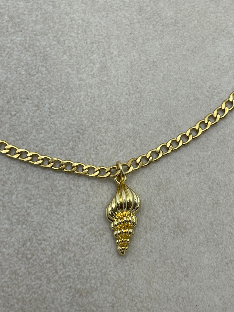 Sea Snail Shell Necklace