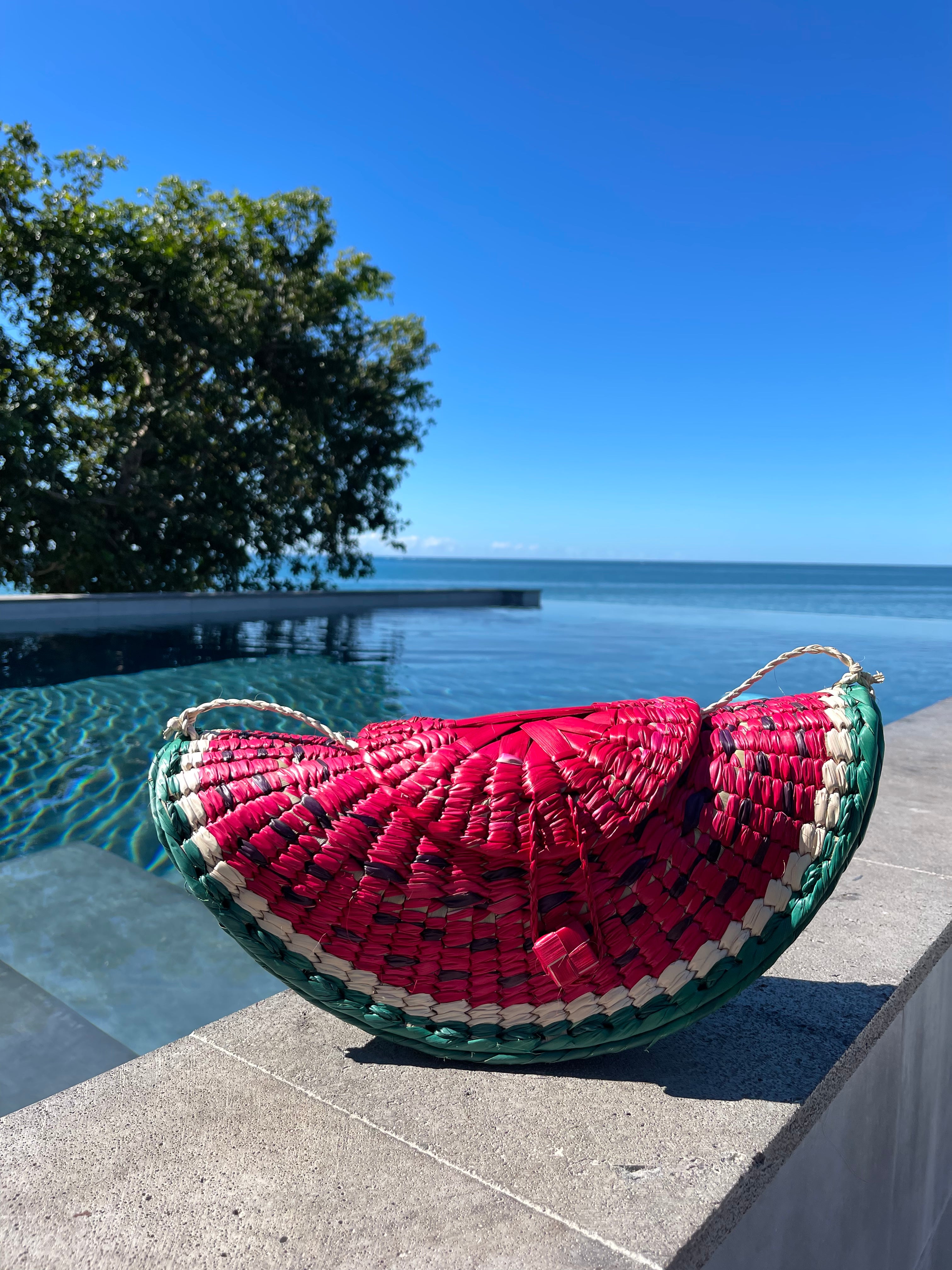 Lush Melon Hand Bag